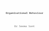 Organisational Behaviour Dr Seema Sant. Lecture plan Structure of the course Issues to explore in the course Historical overview.