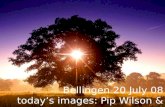 Bellingen 20 July 08 today’s images: Pip Wilson & Belial.