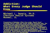 Addiction: What Every Judge Should Know Michael L. Dennis, Ph.D. Chestnut Health Systems Normal, IL Presentation at “Addiction: What Every Judge Should.
