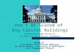 Based on Five Rules of Effective Advocacy By Nancy Amidei, University of Washington Civic Engagement Project Don’t Be Scared of Big Capitol Buildings Presented.