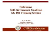 Oklahoma Self-Governance Coalition SG 101 Training Session April 17, 2009 Shawnee, Oklahoma Vickie Hanvey, CPA, MBA.