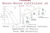Petavac Boson-Boson Collisions at 100 TeV Peter McIntyre and Akhdiyor Sattarov Department of Physics Texas A&M University 1  (TeV) 10.