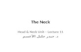 The Neck Head & Neck Unit – Lecture 11 د. حيدر جليل الأعسم.