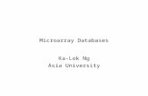 Microarray Databases Ka-Lok Ng Asia University. Microarray Databases Time series data – yeast cell cycle Stanford Genomic Resources - Stanford Microarray.