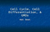 Cell Cycle, Cell Differentiation, & GMOs Hot Seat.