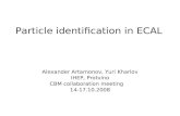 Particle identification in ECAL Alexander Artamonov, Yuri Kharlov IHEP, Protvino CBM collaboration meeting 14-17.10.2008.