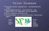 Prion Disease  Transmissible spongiform encephalopathy (TSE)  Neurodegeneration, vacuolation, and deposition of abnormal prion protein  Cross-species.