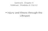 Santrock: Chapter 4 Feldman: Modules 4-1 & 4-2 Injury and Illness through the Lifespan.