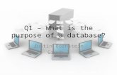 Q1 – What is the purpose of a database? Justin Bornstein Group 2.