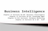 Chapter 12 Sections Q1-Q4: Business Intelligence Chapter 13 Sections Q2-Q4: Knowledge Mgmt Chapter 14 All Sections: Database Marketing Chapter 15 Sections.