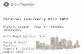 © Grant Thornton Ireland. All rights reserved. Personal Insolvency Bill 2012 Michael Bolger – Head of Personal Insolvency With legal opinion from: Barry.