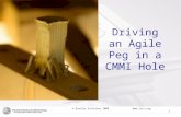 © QualSys Solutions 2008 Driving an Agile Peg in a CMMI Hole  1.
