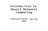 Introduction to Neural Networks Computing CMSC491N/691N, Spring 2001.