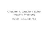Chapter 7: Gradient Echo Imaging Methods Mark D. Herbst, MD, PhD.