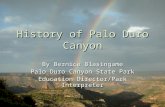 History of Palo Duro Canyon By Bernice Blasingame Palo Duro Canyon State Park Education Director/Park Interpreter.