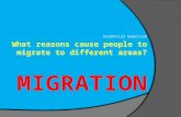 Essential Question What reasons cause people to migrate to different areas?