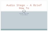 CALEB WALTER 7/14/2013 Audio Stego – A Brief How To.