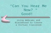 “Can You Hear Me Now? Good!” Using Webcams and Blackboard to Create a Virtual Classroom.