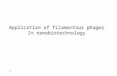1 Application of filamentous phages In nanobiotechnology.