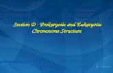 Section D - Prokaryotic and Eukaryotic Chromosome Structure.