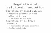 Regulation of calcitonin secretion Elevation of blood calcium –Response greater in male –Affected by age Declines as one ages Secretion by GI tract –Gastrin.