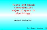 Plant and brain cannabinoids: major players in physiology. Raphael Mechoulam Beit Dagan, January 2007  LOH 2003.