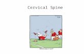 Cervical Spine. C1 - C7 Atlas and Axis Ligamentous Anatomy Anterior longitudinal ligament –Reinforces anterior discs, limits extension Posterior longitudinal.