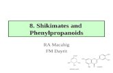 8. Shikimates and Phenylpropanoids RA Macahig FM Dayrit.