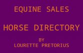 EQUINE SALES HORSE DIRECTORY BY LOURETTE PRETORIUS.