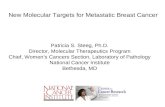 Patricia S. Steeg, Ph.D. Director, Molecular Therapeutics Program Chief, Women’s Cancers Section, Laboratory of Pathology National Cancer Institute Bethesda,
