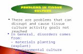 1 PROBLEMS IN TISSUE CULTURE  There are problems that can disrupt and cause tissue culture activity goals not reached  In General, disorders comes from: