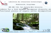 Evidence for a link between decomposer diversity and functional process of organic matter decomposition Laboratoire des Interactions Ecotoxicologie, Biodiversité,