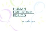 HUMAN EMBRYONIC PERIOD By DR. SAMINA ANJUM. DERIVATIVES OF ENDODERMAL GERM LAYER This germ layer covers the ventral surface of the embryo forms the roof.
