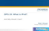 OPS-19: What is IPv6? And Why Should I Care? Peter L’Ecuyer Principal Software Engineer.