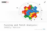 Fuzzing and Patch Analysis: SAGEly Advice. Introduction.