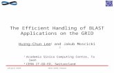 28 April, 2005ISGC 2005, Taiwan The Efficient Handling of BLAST Applications on the GRID Hurng-Chun Lee 1 and Jakub Moscicki 2 1 Academia Sinica Computing.