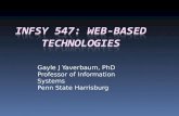 Gayle J Yaverbaum, PhD Professor of Information Systems Penn State Harrisburg.