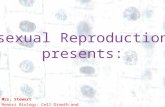 1 1 Asexual Reproduction presents: Mrs. Stewart Honors Biology: Cell Growth and Division.