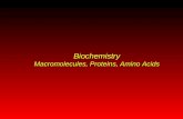 Biochemistry Macromolecules, Proteins, Amino Acids.