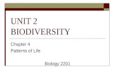 UNIT 2 BIODIVERSITY Chapter 4 Patterns of Life Biology 2201.