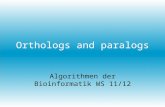 Orthologs and paralogs Algorithmen der Bioinformatik WS 11/12.