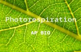 Photorespiration AP BIO. Review Stomates need to be OPEN for gas exchange to occur in the leaf However, open stomates can lead to dehydration due to transpiration.