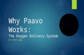 Why Paavo Works: The Oxygen Delivery System BY STEVE LONG.