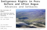 Indigenous Rights in Peru Before and After Bagua Advances and Setbacks The Outcomes of Bagua: The Peruvian Amazon One Year on from the Violence Peru Support.