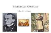 Mendelian Genetics An Overview. Vocabulary Genetics: The scientific study of heredity Character: heritable feature Trait: each variant for a character.
