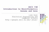 EECS 730 Introduction to Bioinformatics Genome and Gene Luke Huan Electrical Engineering and Computer Science jhuan