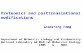 Proteomics and posttranslational modifications Xiaozhong Peng Department of Molecular Biology and Biochemistry National Laboratory of Medical Molecular.