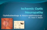 Ophthalmology & Neuro-ophthalmology Dr. Omer Y. Bialer 1.