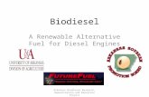 Biodiesel A Renewable Alternative Fuel for Diesel Engines Arkansas Biodiesel Research, Demonstration and Education Project.