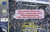 Bose-Bose Mixtures: atoms, molecules and thermodynamics near the Absolute Zero Bose-Bose Mixtures: atoms, molecules and thermodynamics near the Absolute.